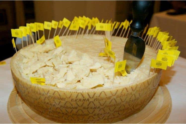 Grana Padano